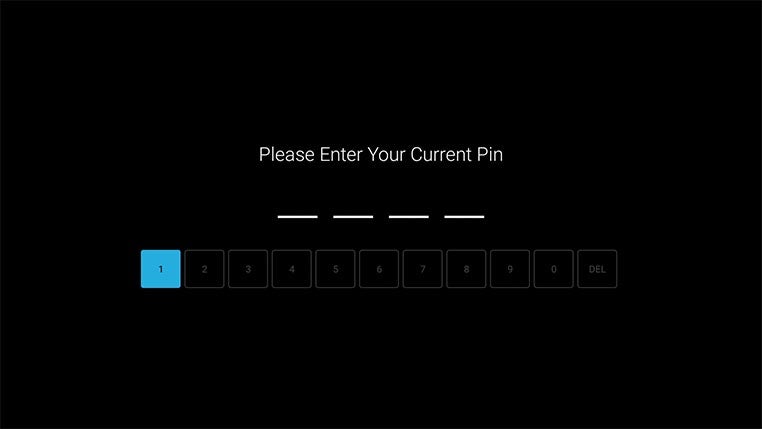 enter current pin