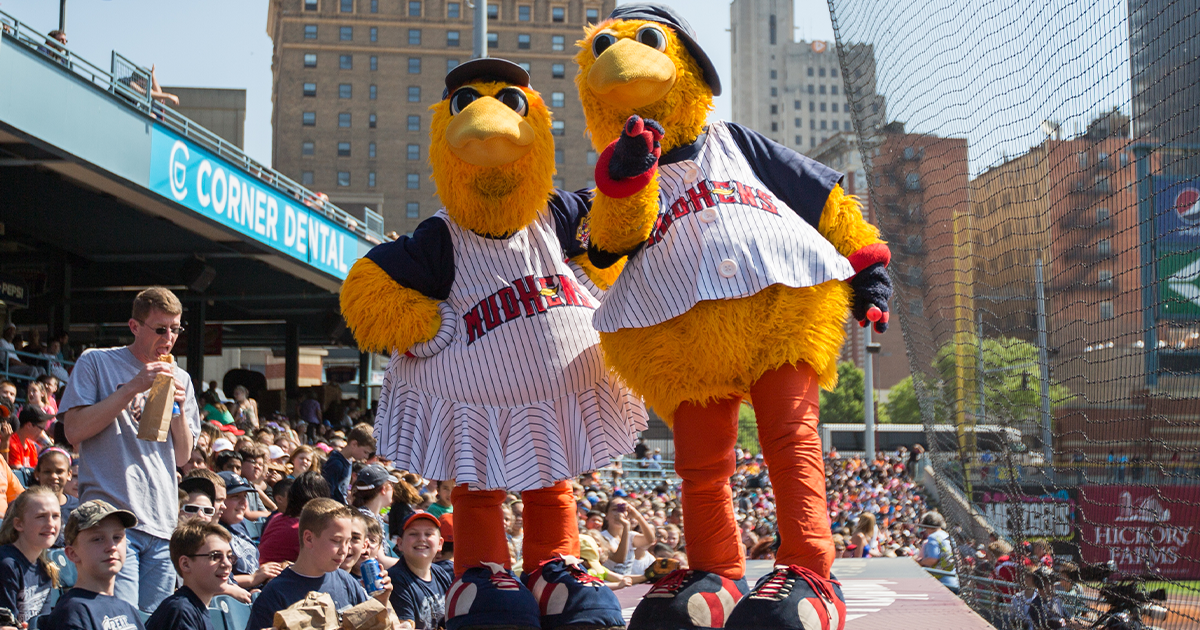 Go Mud Hens! Want to Learn More About Toledo's Home Team? Buckeye
