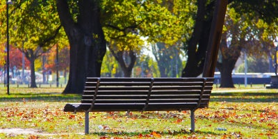 park bench in a park