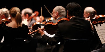 behind view of a symphony orchestra in the violin section