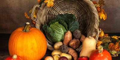 photo of basket overturned with various fall vegetables displayed