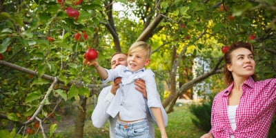 family at apple orchard, best apple orchards near toledo, best pumpkin patches near toledo