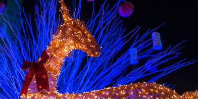 buckeye blog, lights before christmas toledo zoo, reindeer made of lights