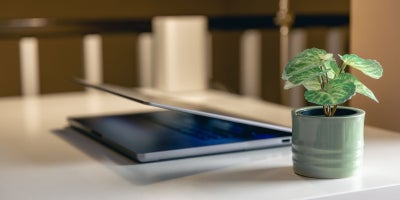 fiber internet, internet sustainability