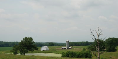 Rural landscape with barn showing and greenery with a cloudy background.
