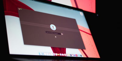 Computer screen displaying “Enter Your Master Password”.