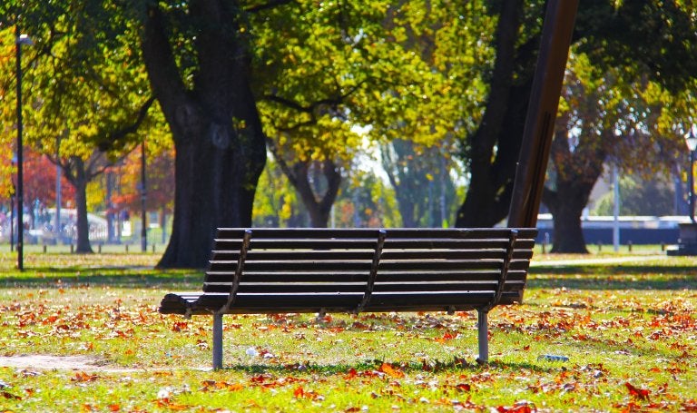 park bench in a park