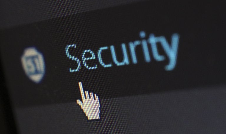 screen with security program and cursor