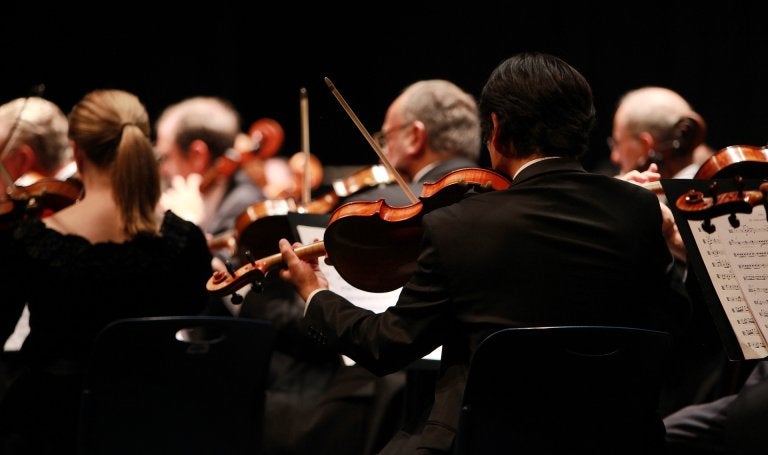 behind view of a symphony orchestra in the violin section