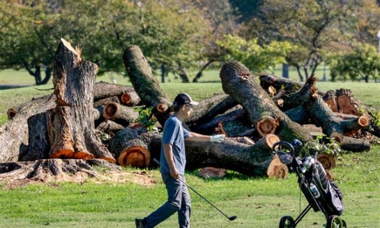 Golfers tee off near log sections cut from trees at the East Potomac Golf Links on Oct. 12 in Washington.