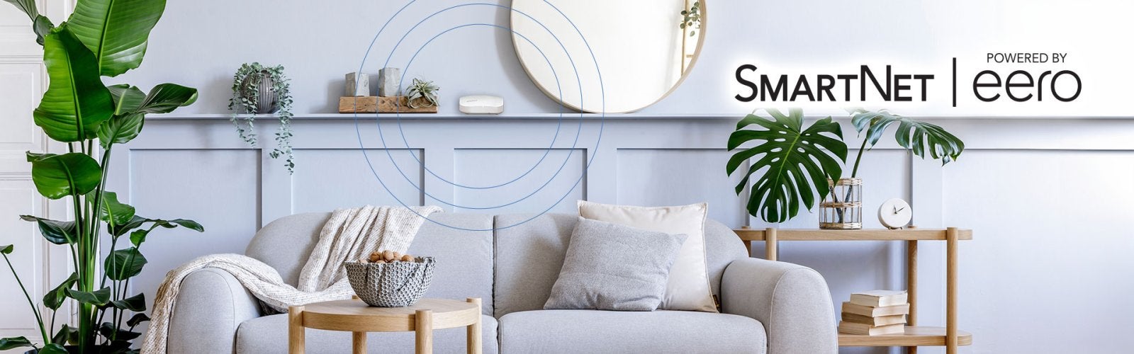 Smartnet Image