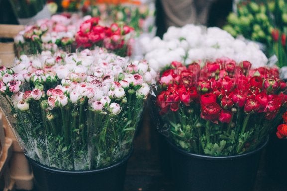 photo of two bins of individually packaged flowers at a market