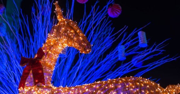 buckeye blog, lights before christmas toledo zoo, reindeer made of lights