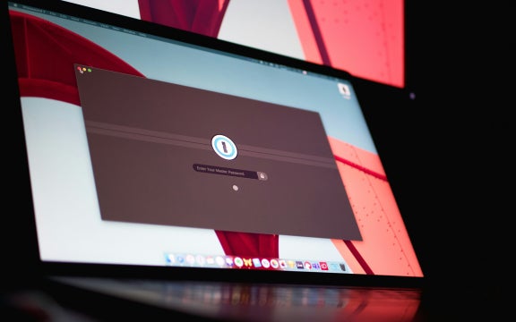 Computer screen displaying “Enter Your Master Password”.