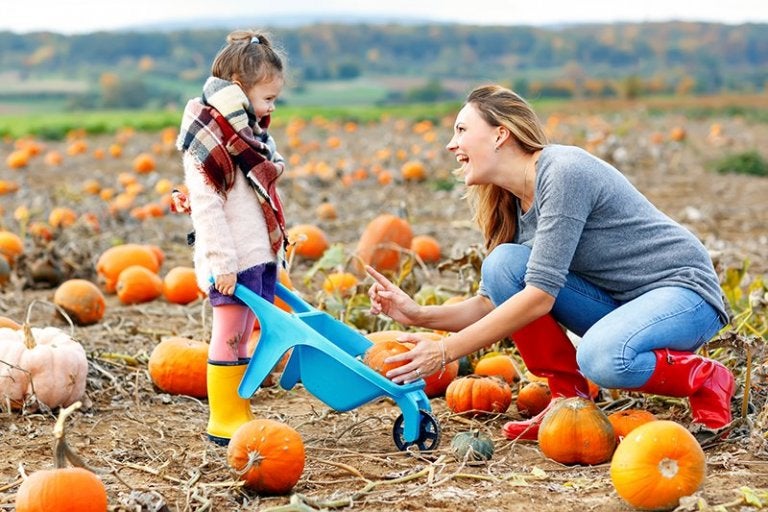 Women and child picking pumpkins