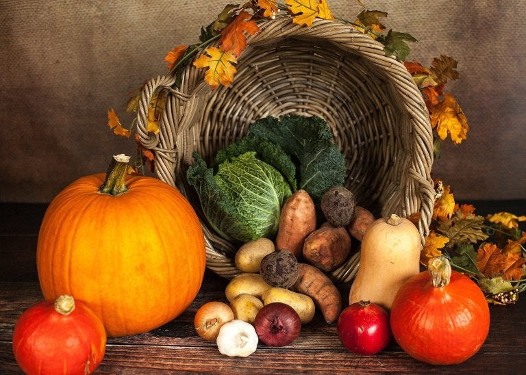photo of basket overturned with various fall vegetables displayed