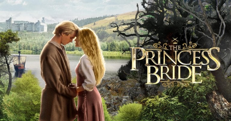 the princess bride movie poster 