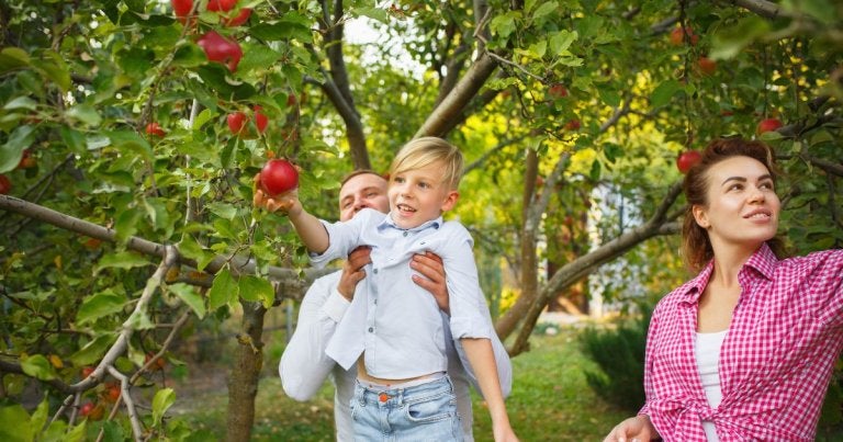 family at apple orchard, best apple orchards near toledo, best pumpkin patches near toledo