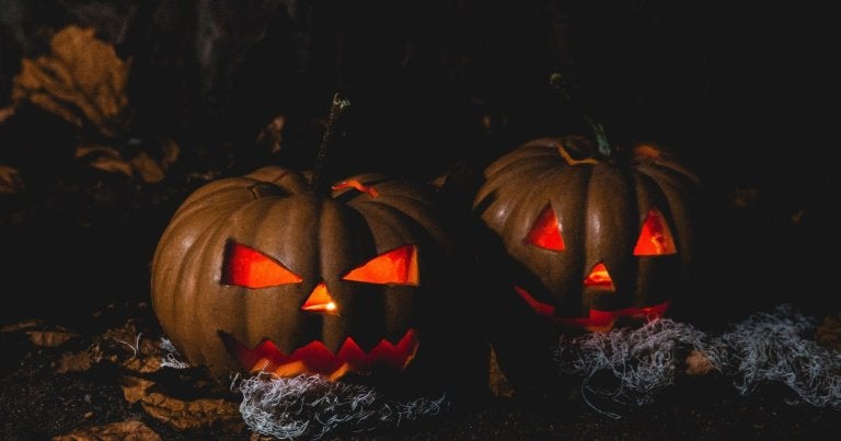 buckeye blog, haunted attractions in toledo, haunted houses toledo, scary pumpkins image